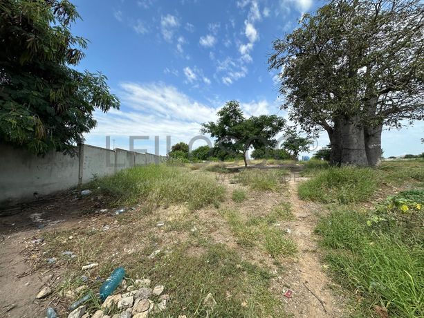 Terreno  – Localização Premium em Talatona, Luanda
