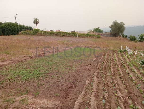 Quinta com 1,3 hectares · Penafiel