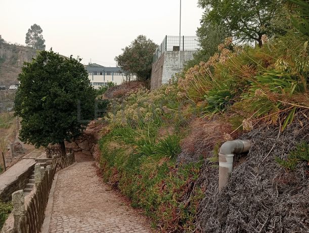 Quinta com 1,3 hectares · Penafiel