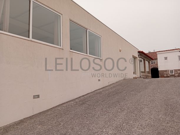 Quinta com 1,3 hectares · Penafiel