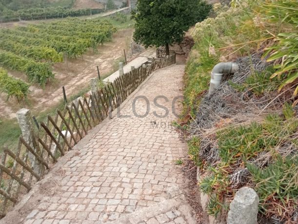 Quinta com 1,3 hectares · Penafiel