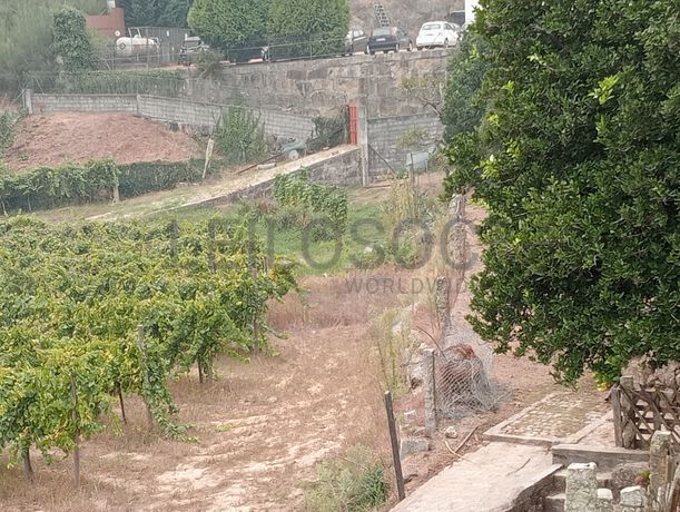 Quinta com 1,3 hectares · Penafiel
