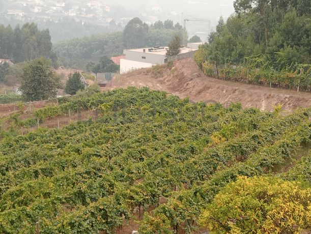 Quinta com 1,3 hectares · Penafiel