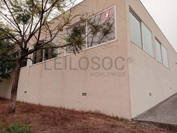 Quinta com 1,3 hectares · Penafiel