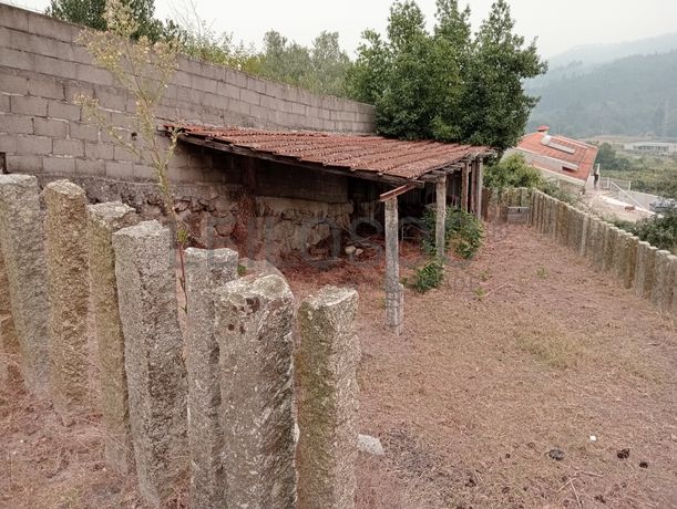 Quinta com 1,3 hectares · Penafiel