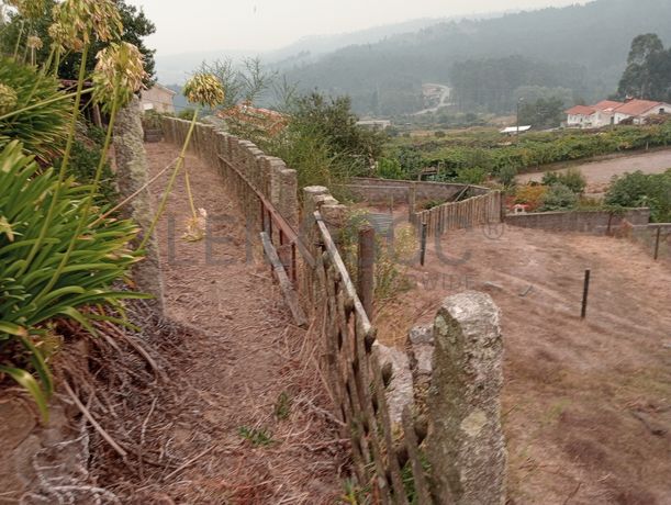 Quinta com 1,3 hectares · Penafiel