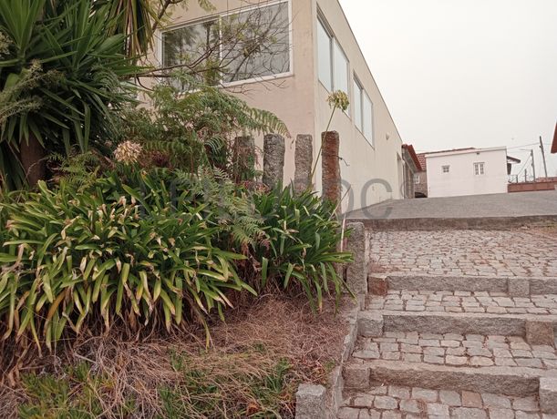 Quinta com 1,3 hectares · Penafiel