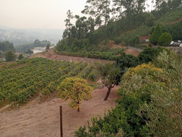 Quinta com 1,3 hectares · Penafiel