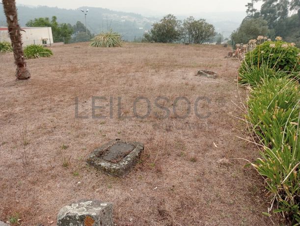 Quinta com 1,3 hectares · Penafiel