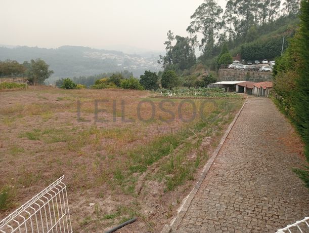 Quinta com 1,3 hectares · Penafiel