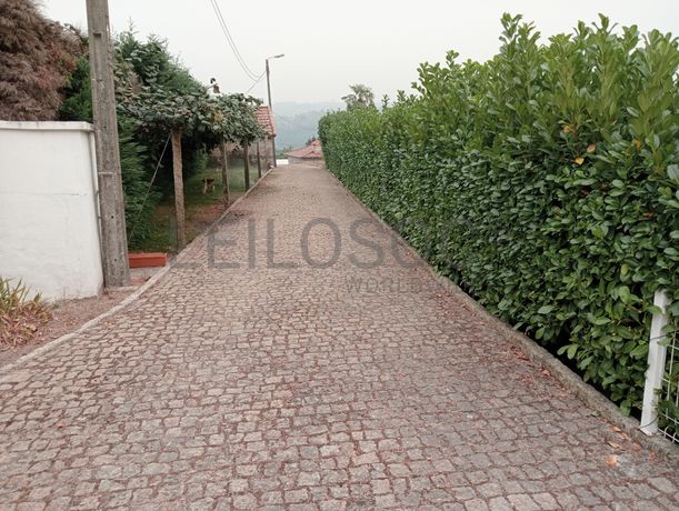 Quinta com 1,3 hectares · Penafiel