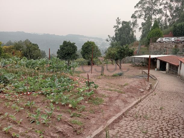Quinta com 1,3 hectares · Penafiel
