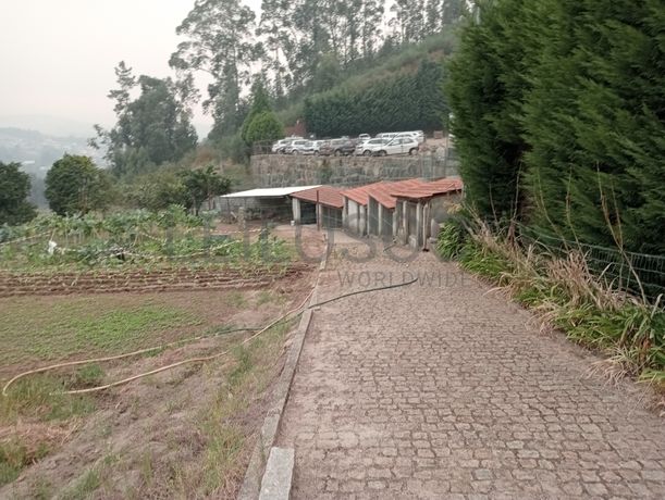 Quinta com 1,3 hectares · Penafiel
