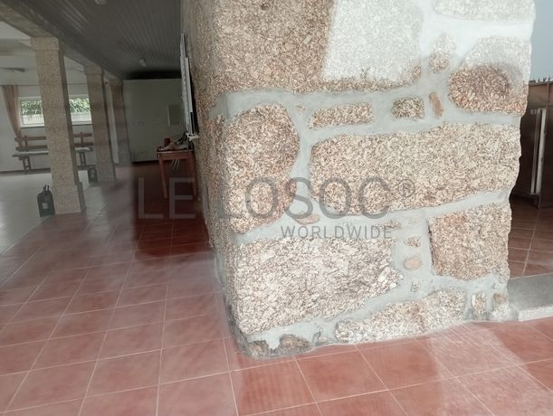 Quinta com 1,3 hectares · Penafiel