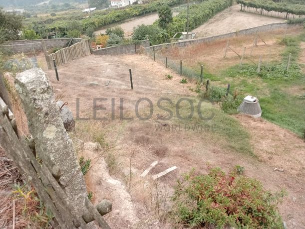 Quinta com 1,3 hectares · Penafiel