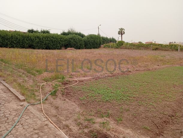 Quinta com 1,3 hectares · Penafiel
