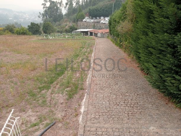 Quinta com 1,3 hectares · Penafiel