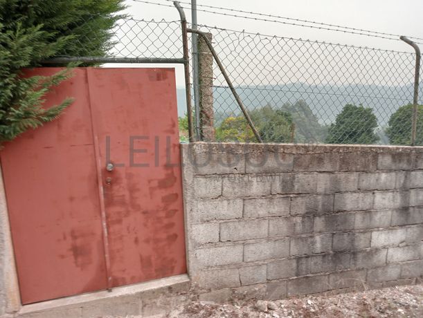 Quinta com 1,3 hectares · Penafiel