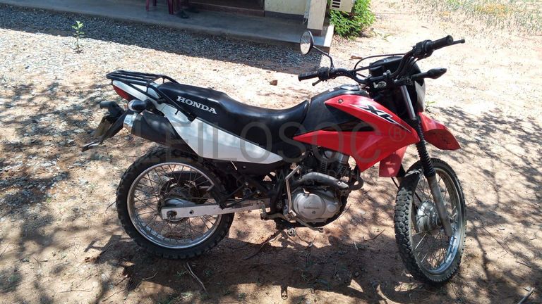 Honda XL