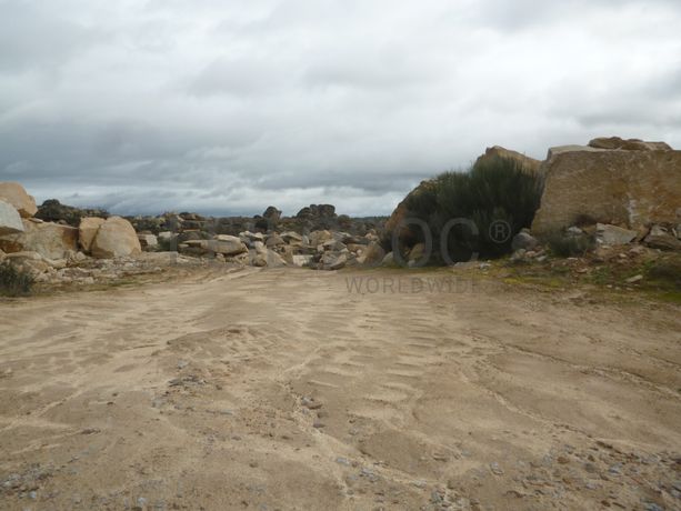 Terreno com 1,4 hectares · Figueira de Castelo Rodrigo