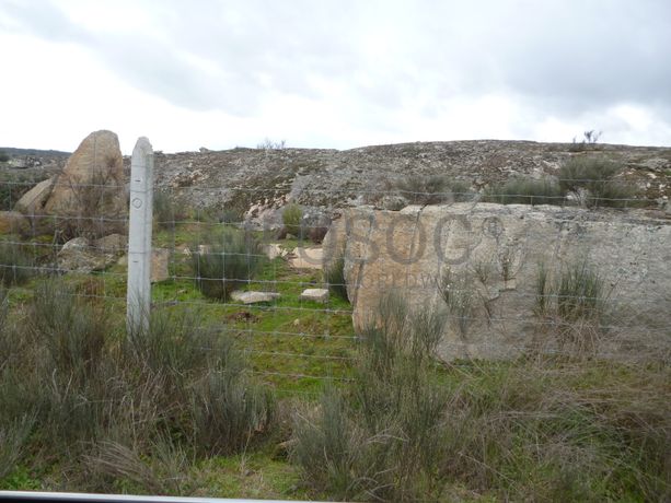 Terreno com +29 hectares · Figueira de Castelo Rodrigo