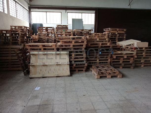 Paletes de Madeira