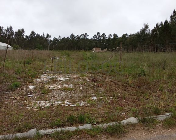 Terreno com 11.245 m² · Oliveira do Bairro