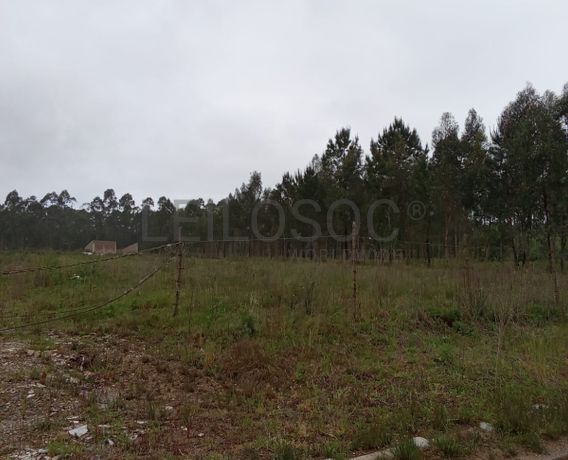 Terreno com 11.245 m² · Oliveira do Bairro