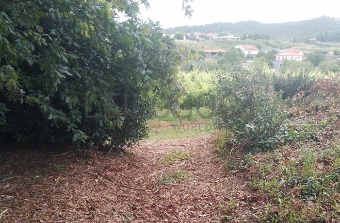Proporção de 3/5 de Terreno com +2 hectares · Barcelos