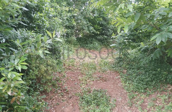 Proporção de 3/5 de Terreno com +2 hectares · Barcelos