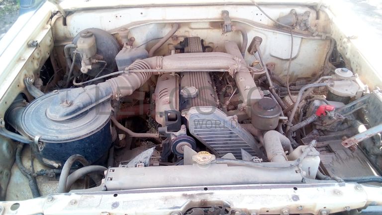 Toyota/Land Cruiser