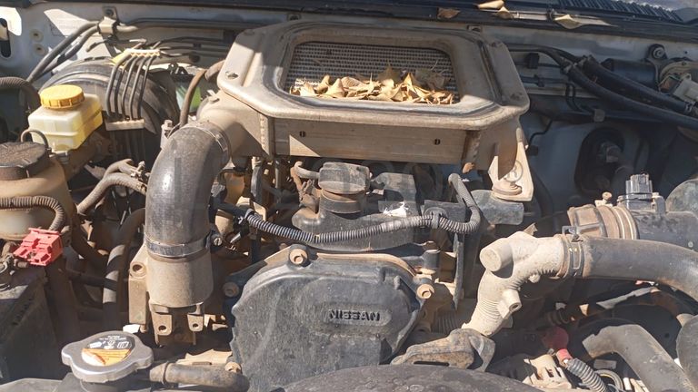 Nissan/Hardbody NPR 300 - 2017