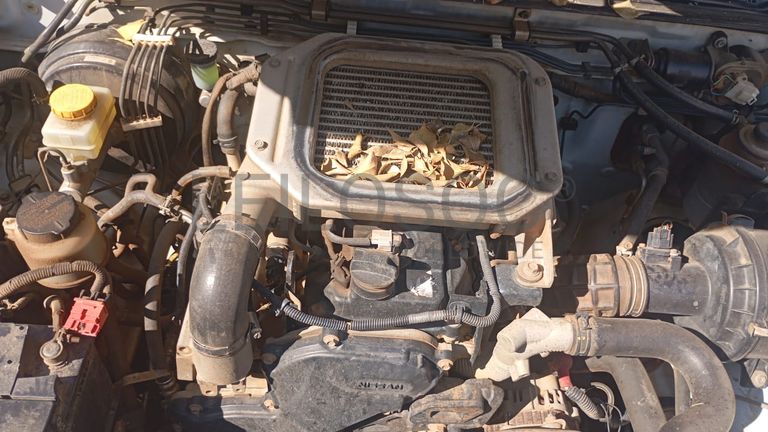 Nissan/Hardbody NPR 300 - 2017