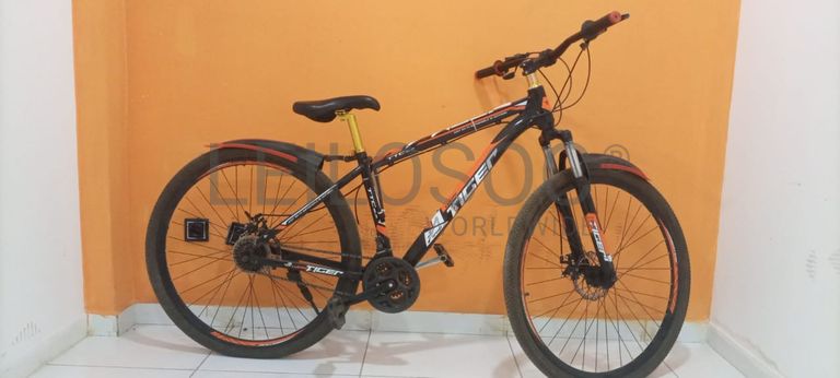 Bicicleta Lucky Tiger 