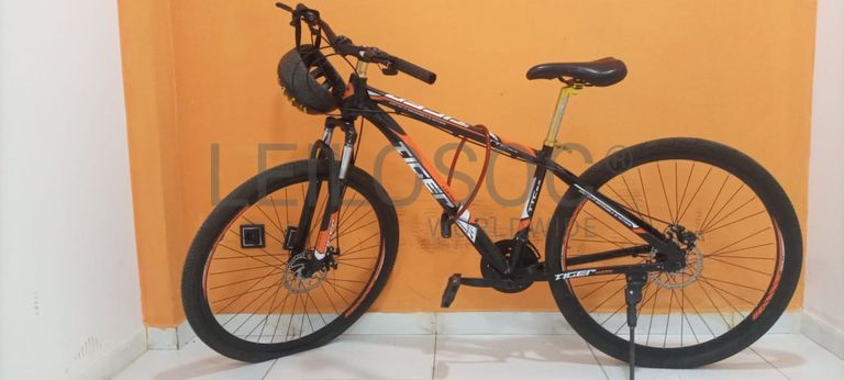 Bicicleta Lucky Tiger 