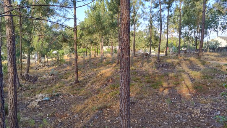 Terreno para Construção · Nossa Senhora da Piedade, Ourém