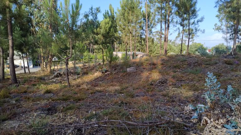 Terreno para Construção · Nossa Senhora da Piedade, Ourém