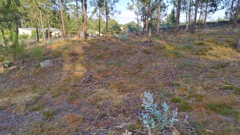 Terreno para Construção · Nossa Senhora da Piedade, Ourém