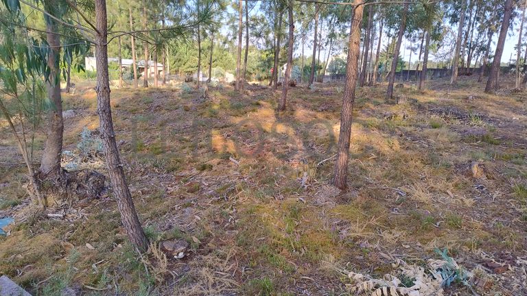 Terreno para Construção · Nossa Senhora da Piedade, Ourém