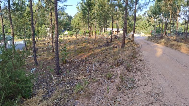 Terreno para Construção · Nossa Senhora da Piedade, Ourém