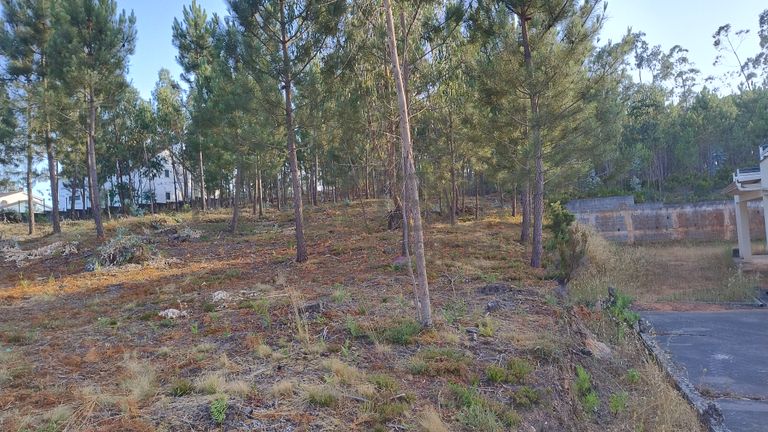 Terreno para Construção · Nossa Senhora da Piedade, Ourém