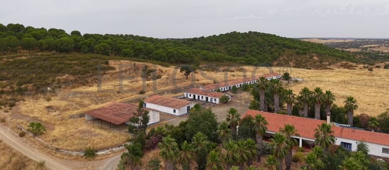 Herdade do Topo · "Monte da Janeila" · 210 hectares · Serpa