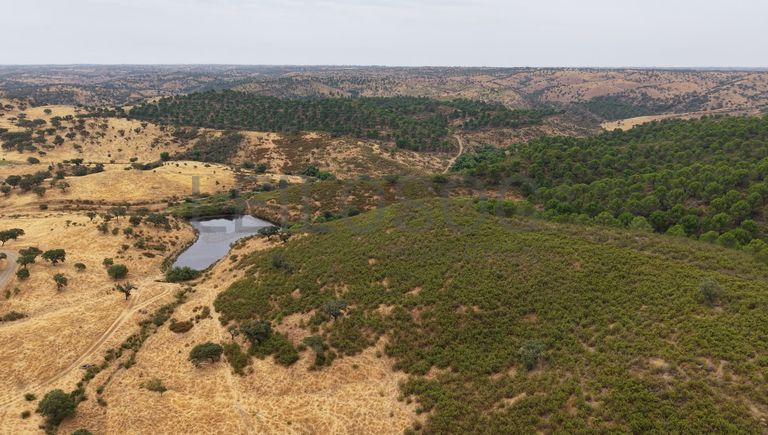 Herdade do Topo · "Monte da Janeila" · 210 hectares · Serpa