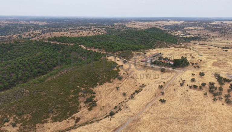 Herdade do Topo · "Monte da Janeila" · 210 hectares · Serpa