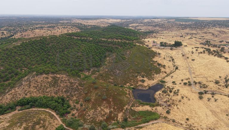 Herdade do Topo · "Monte da Janeila" · 210 hectares · Serpa