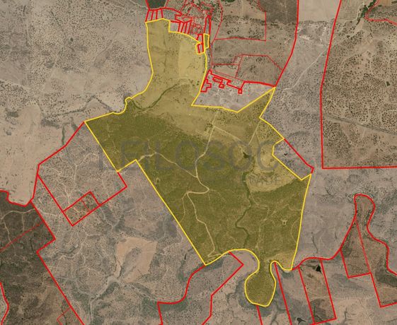Herdade do Topo · "Monte da Janeila" · 210 hectares · Serpa