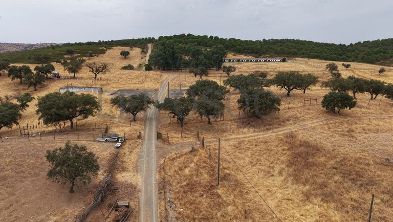 Herdade do Topo · "Monte da Janeila" · 210 hectares · Serpa