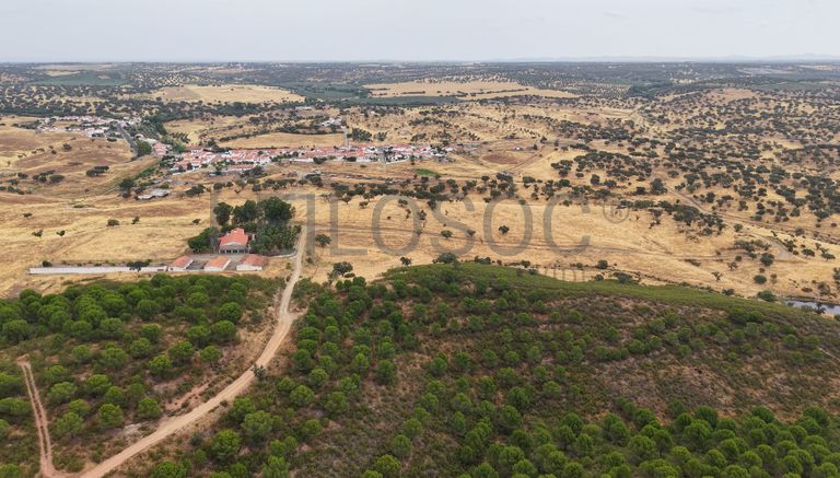 Herdade do Topo · "Monte da Janeila" · 210 hectares · Serpa