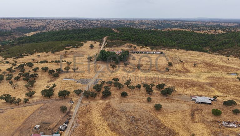 Herdade do Topo · "Monte da Janeila" · 210 hectares · Serpa