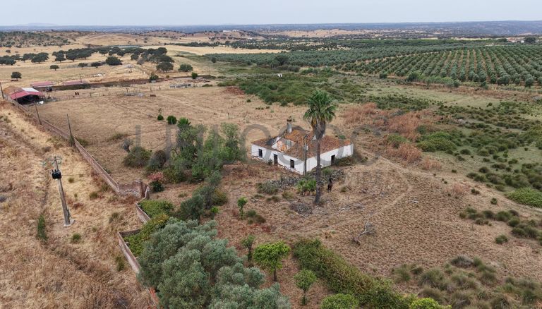 Herdade do Topo · "Monte Junqueira" · 7,4 hectares · Serpa 